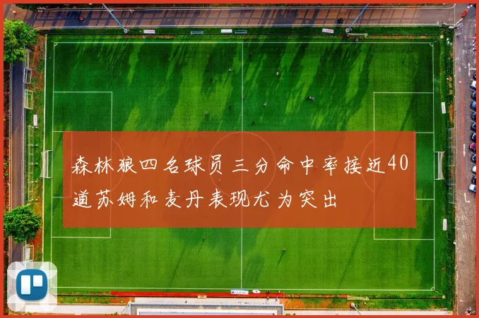 森林狼四名球员三分命中率接近40道苏姆和麦丹表现尤为突出